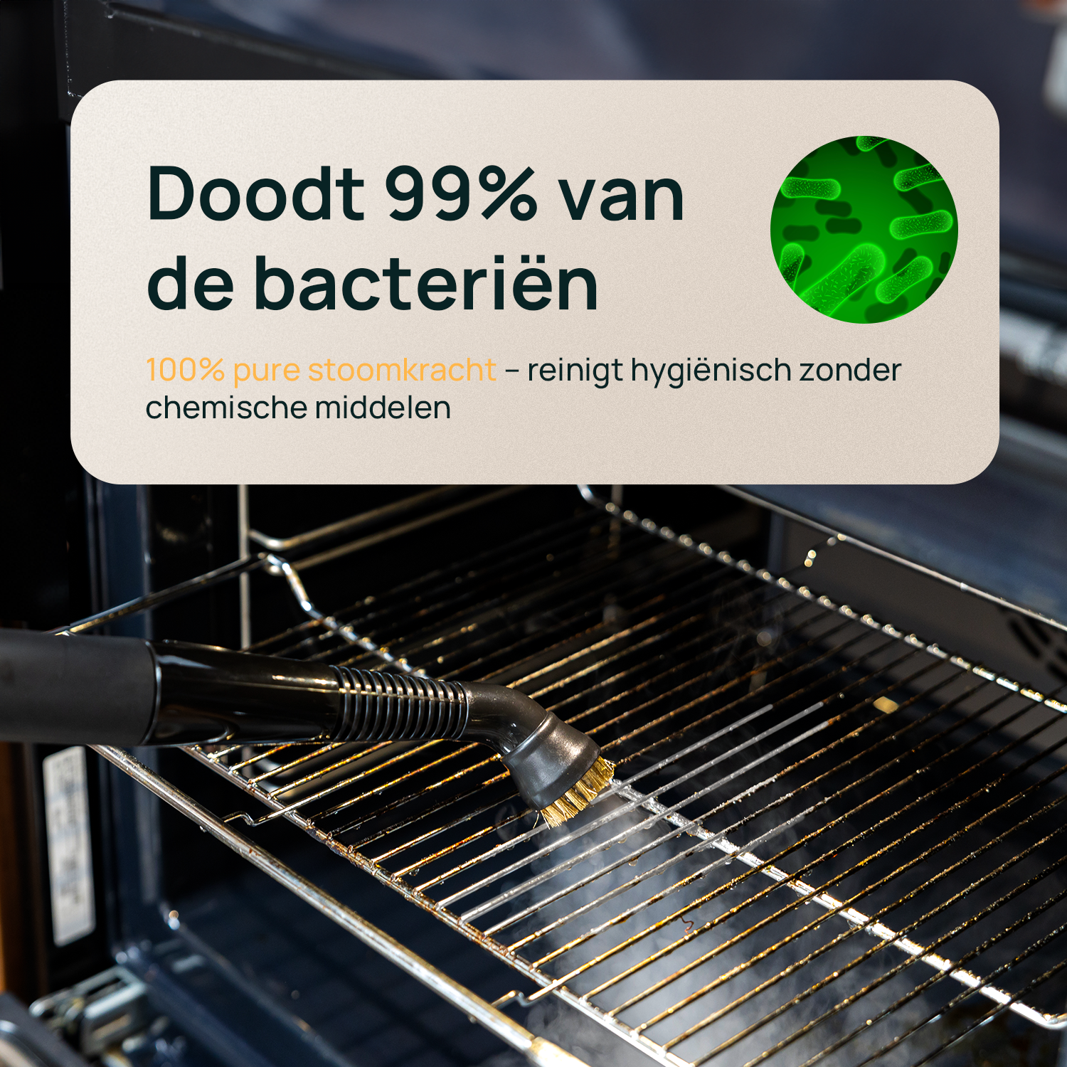 Stoomreiniger 'The Big one'