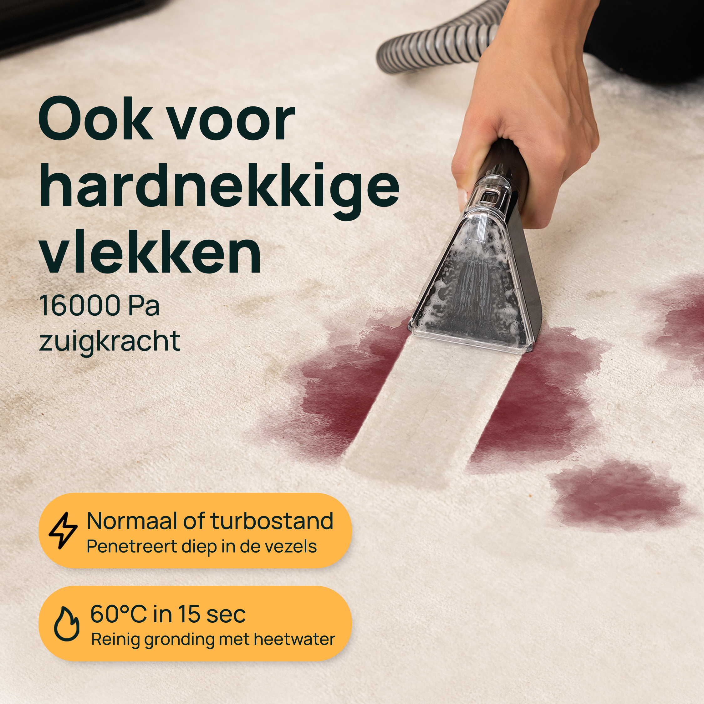 Tapijtreiniger 'The Beast'