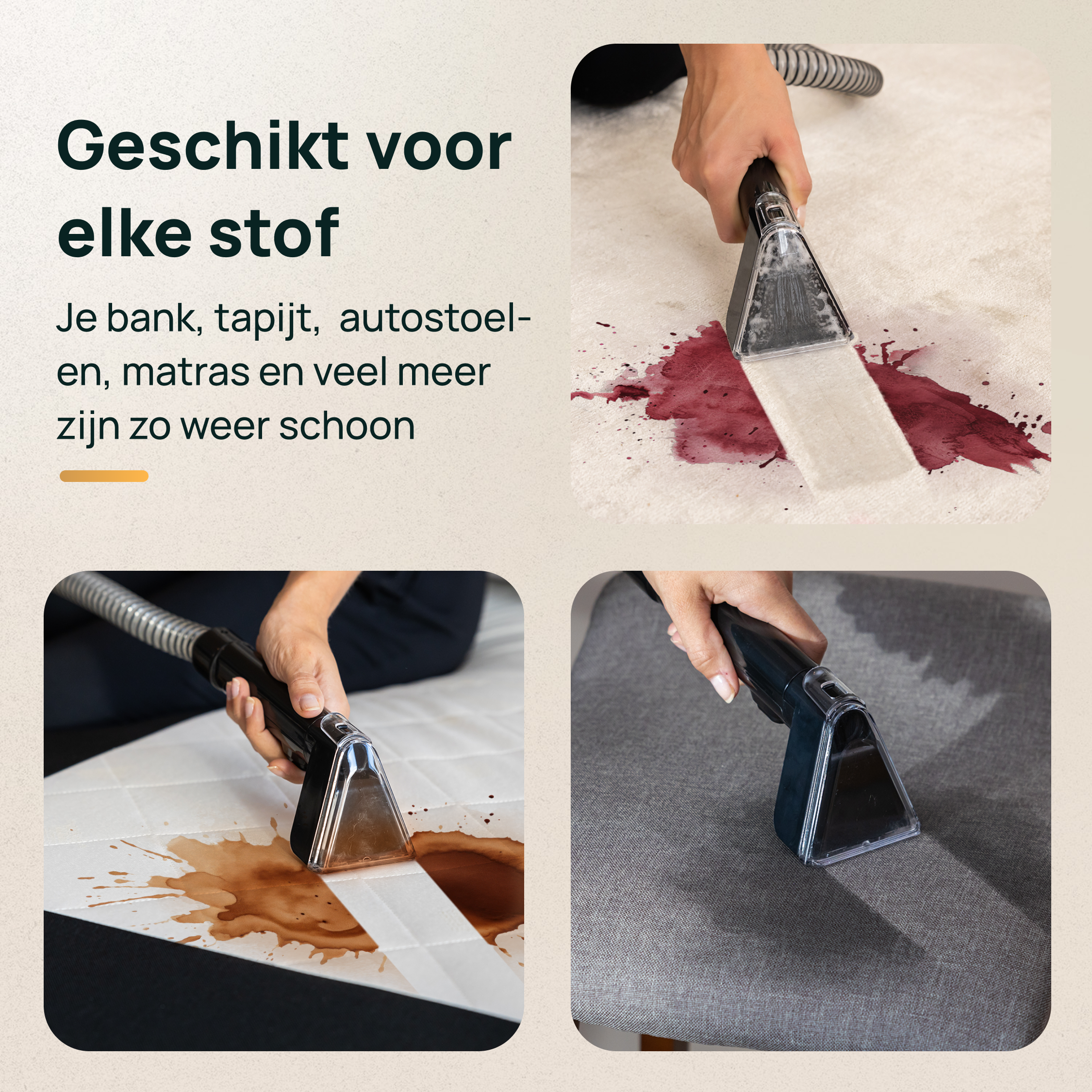 Tapijtreiniger 'The Beast'